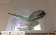 Глянцевый натяжной потолок с фотопечатью (орхидея) от "Алези"