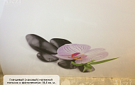 Лаковый натяжной потолок с фотопечатью (орхидея) от "Алези"