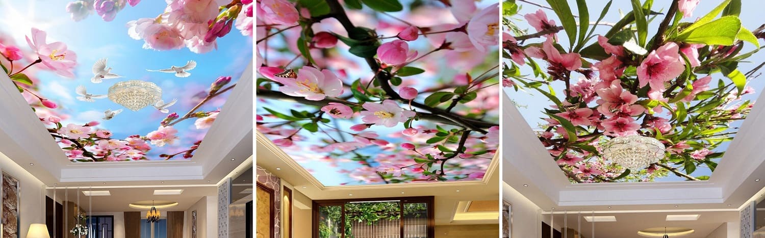 Заказать натяжные потолки с цветами - оригинальный дизайн, большая база фото с лепестками, растениями и цветами с профессиональной установкой от Alezi