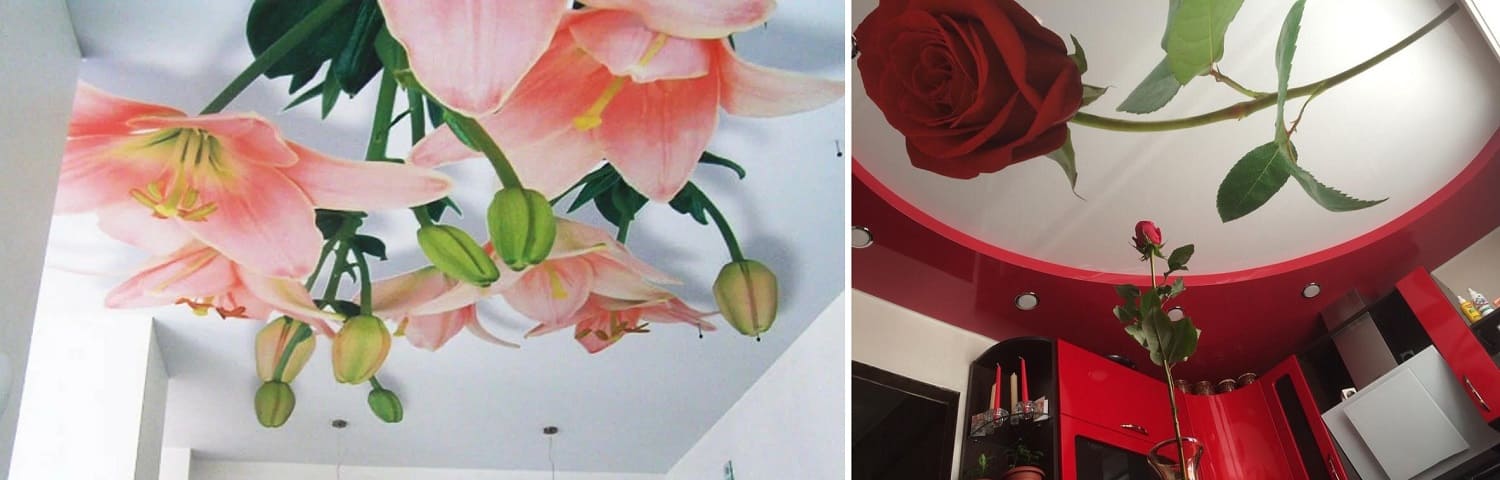 Заказать натяжные потолки с розами и другими цветами - монтаж от компании Alezi